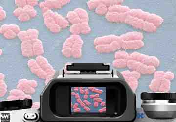 CONCORSO FOTOGRAFICO RISERVATO AGLI ISCRITTI OMCeO CUNEO