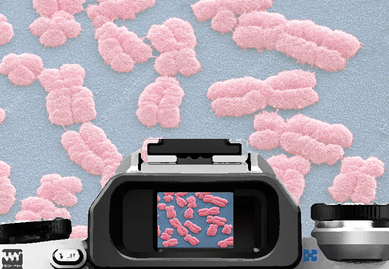 CONCORSO FOTOGRAFICO RISERVATO AGLI ISCRITTI OMCeO CUNEO